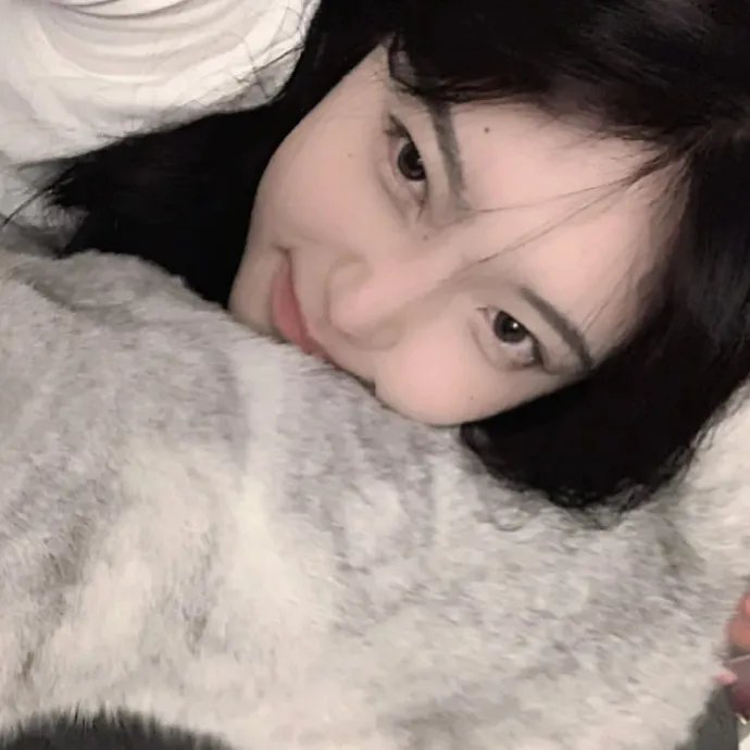 杰拉德历险记